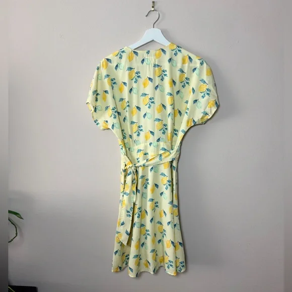 Marine Layre Belted Short Sleeve Mini Dress Lemons - Medium - Picture 10 of 10